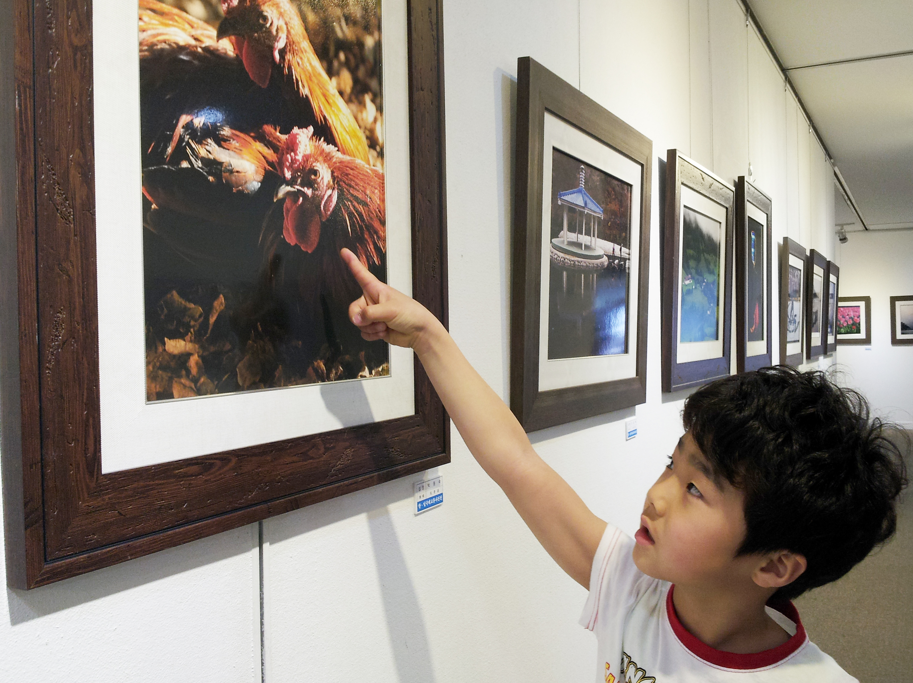 한.일 국제교류사진展 - “한.일 양국 지역사진문화를 재조명하다.”`의 3번째 이미지