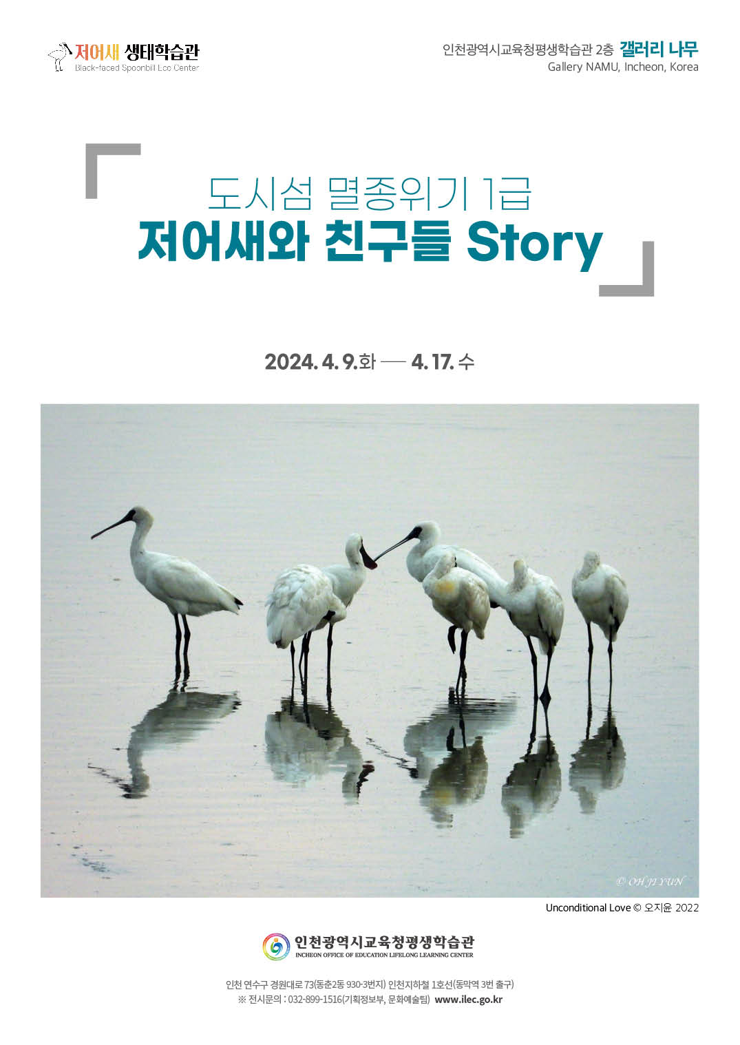 도시섬 멸종위기 1급 저어새와 친구들 Story 관련 포스터 - 자세한 내용은 본문참조