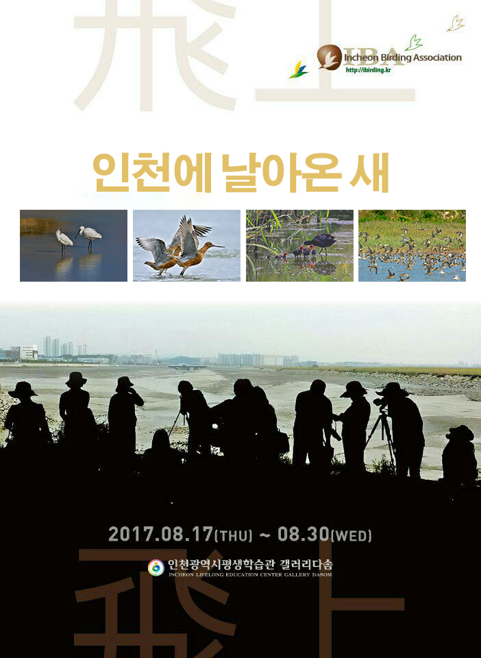 [2017 공모전시] 인천야생조류연구회, 인천에 날아 온 새 관련 포스터 - 자세한 내용은 본문참조